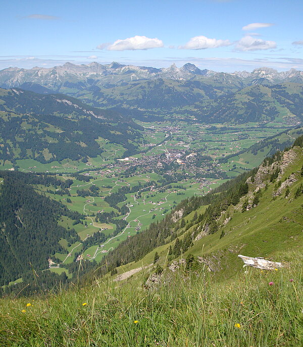 Blick auf Gstaad