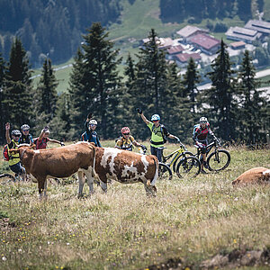 Eine Gruppe von Mountainbikern steht neben Kühe auf einer Wiese in den Bergen.