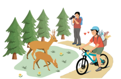 Gniesses  Wanderer haben Vortritt. Biker passieren andere Wegnutzer langsam, oder steigen kurz ab.